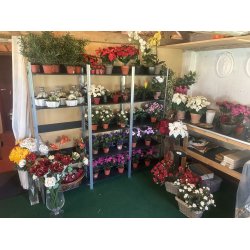 Kunstige blomster "Alt skal v�k"