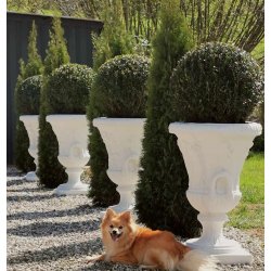 Marmor krukke - Louvre 85 cm, frostsikker havekrukke