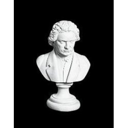 Beethoven 35 cm.