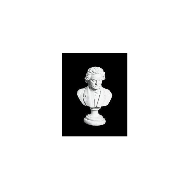 Beethoven 35 cm.