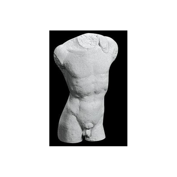 Torso mand