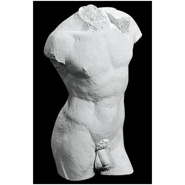 Torso Mand