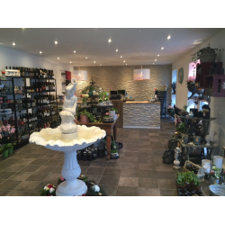 Petit Conque Font�ne 162 cm.