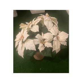 Kunstig cremefarvet julestjerne 40 cm - Udstillings model