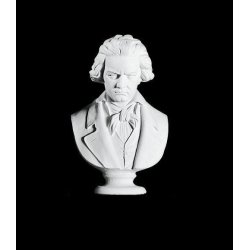 Beethoven 46 cm.